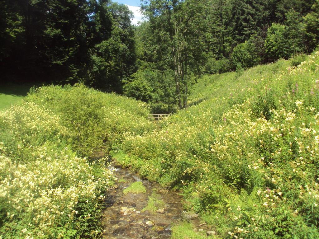 Le Vieux Moulin Bohan Exteriör bild